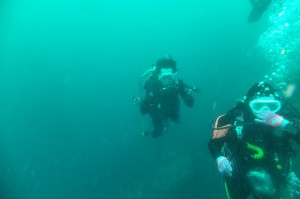 DSCF6248